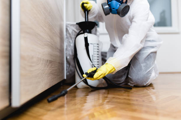 Best Wasp Removal Services  in Carthage, TX