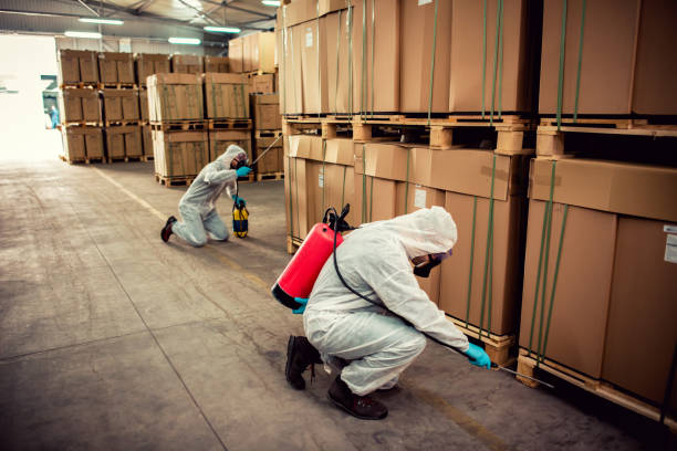 Best Termite Control Services  in Carthage, TX