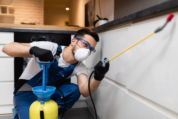 Pest Prevention Services in Carthage, TX