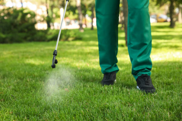 Wasp Removal Services in Carthage, TX