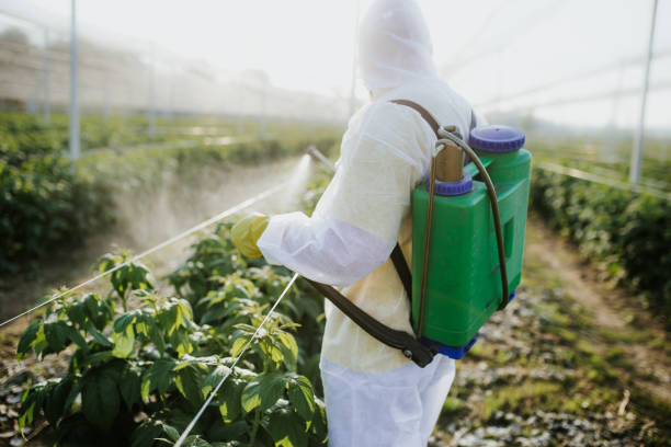 Best Exterminator Services  in Carthage, TX